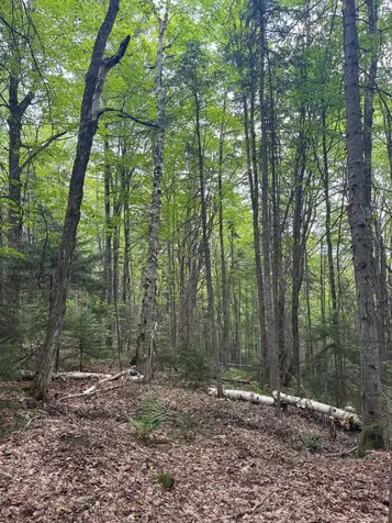 400 Woods Road Northfield VT 05663