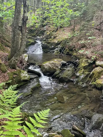 400 Woods Road Northfield VT 05663