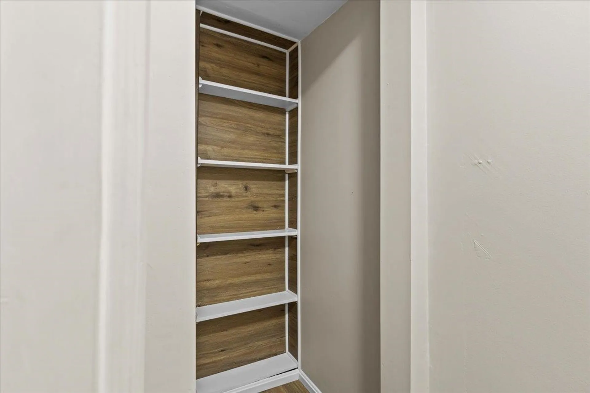 244 North Champlain Street Burlington VT 05401