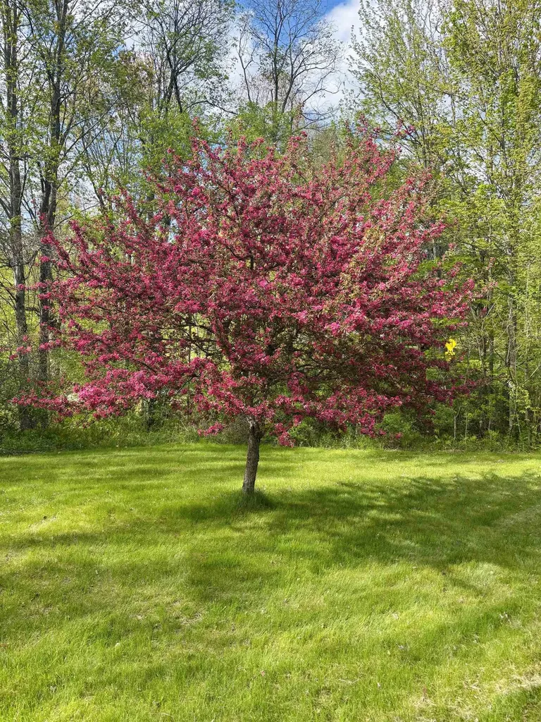 6 Alfano Drive Enfield NH 03748