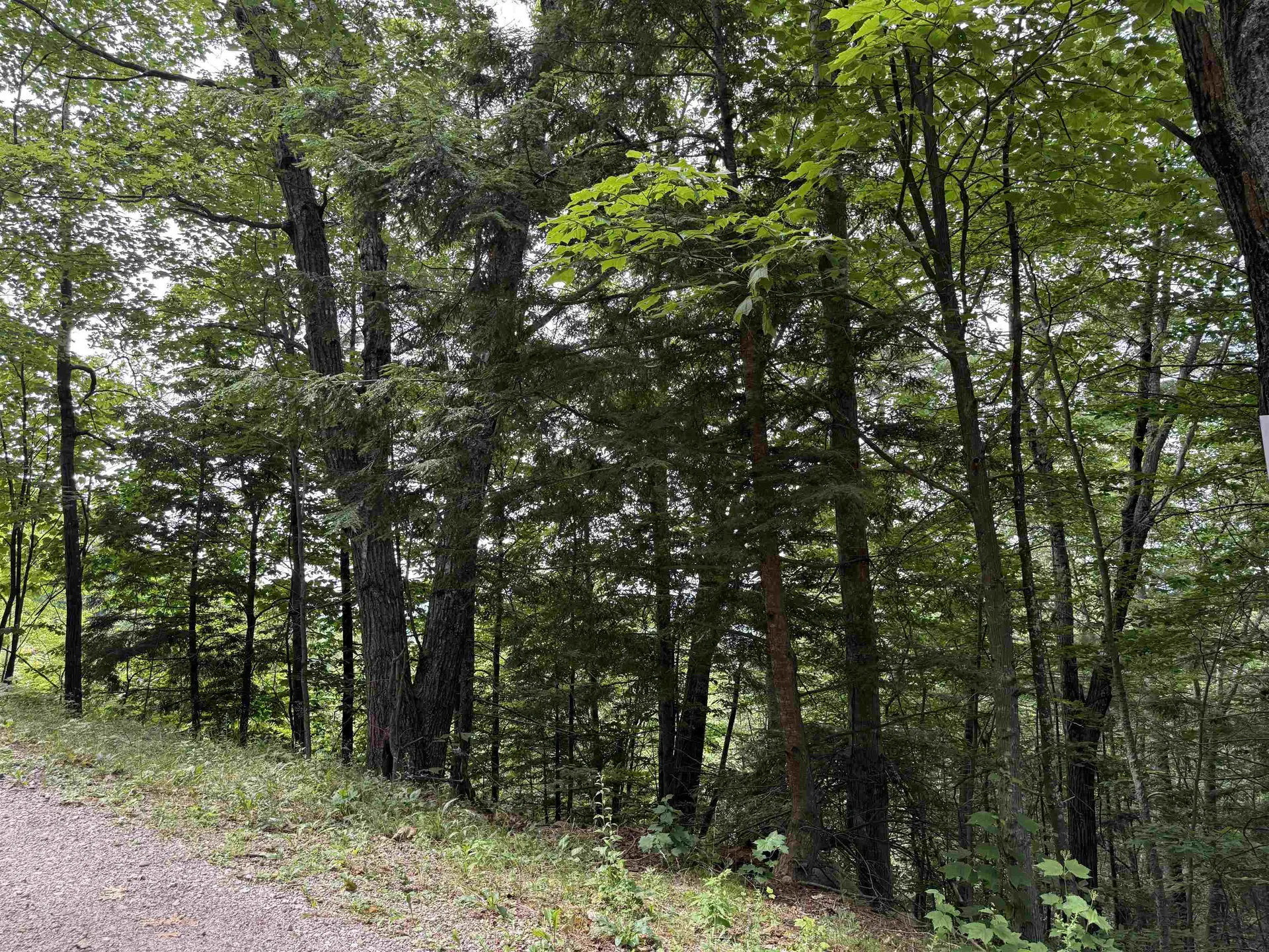 20 Nutter Drive Alton NH 03809