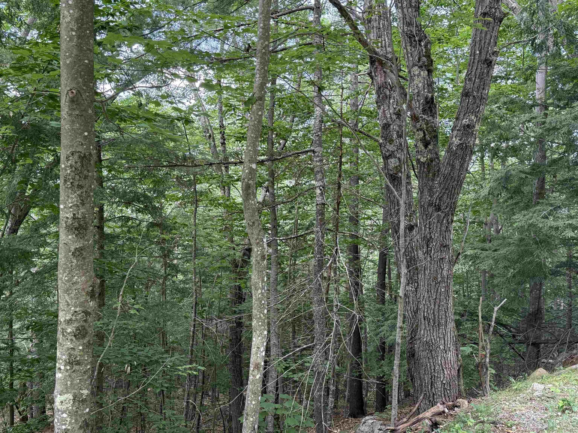 20 Nutter Drive Alton NH 03809