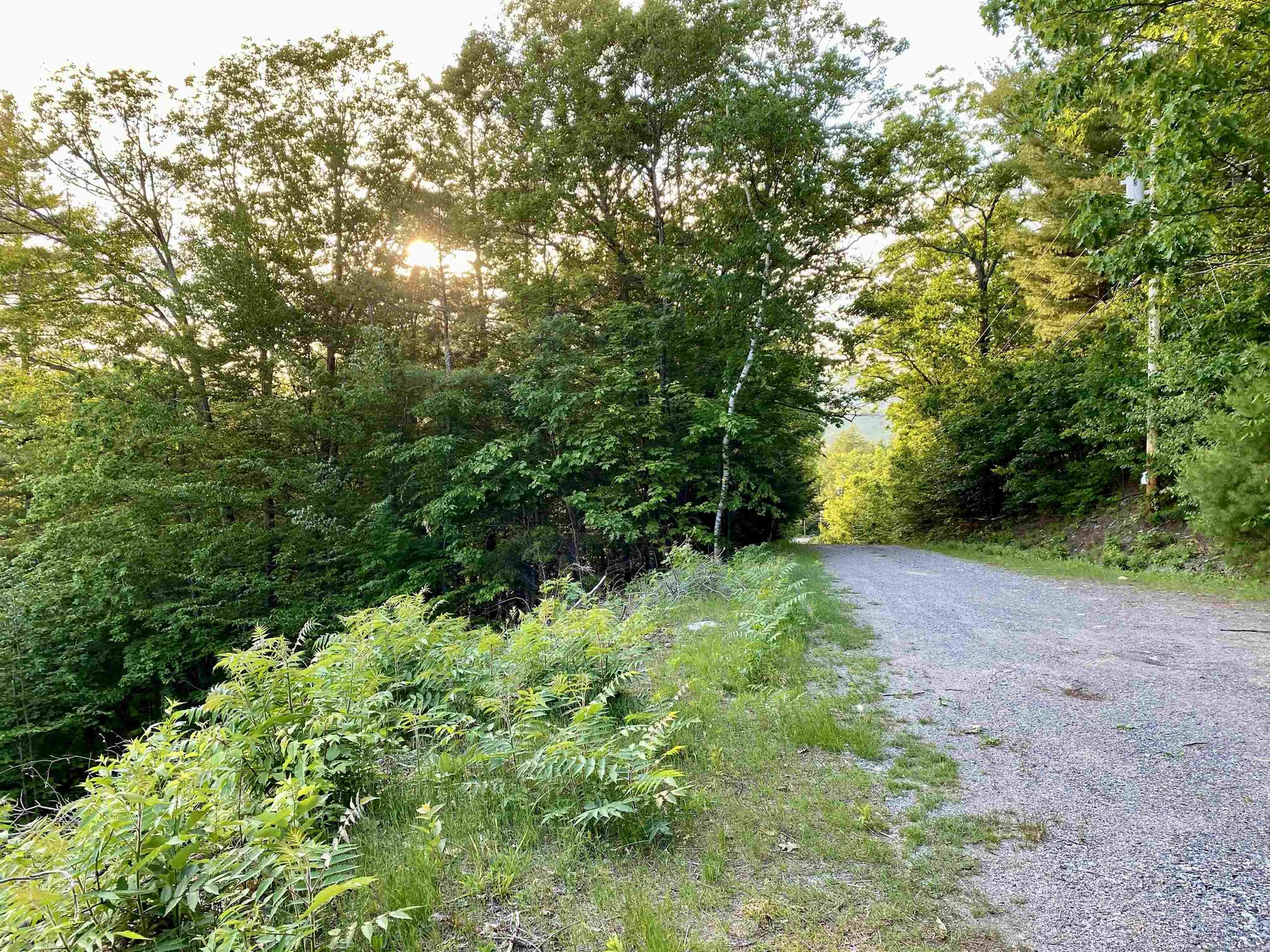 20 Nutter Drive Alton NH 03809