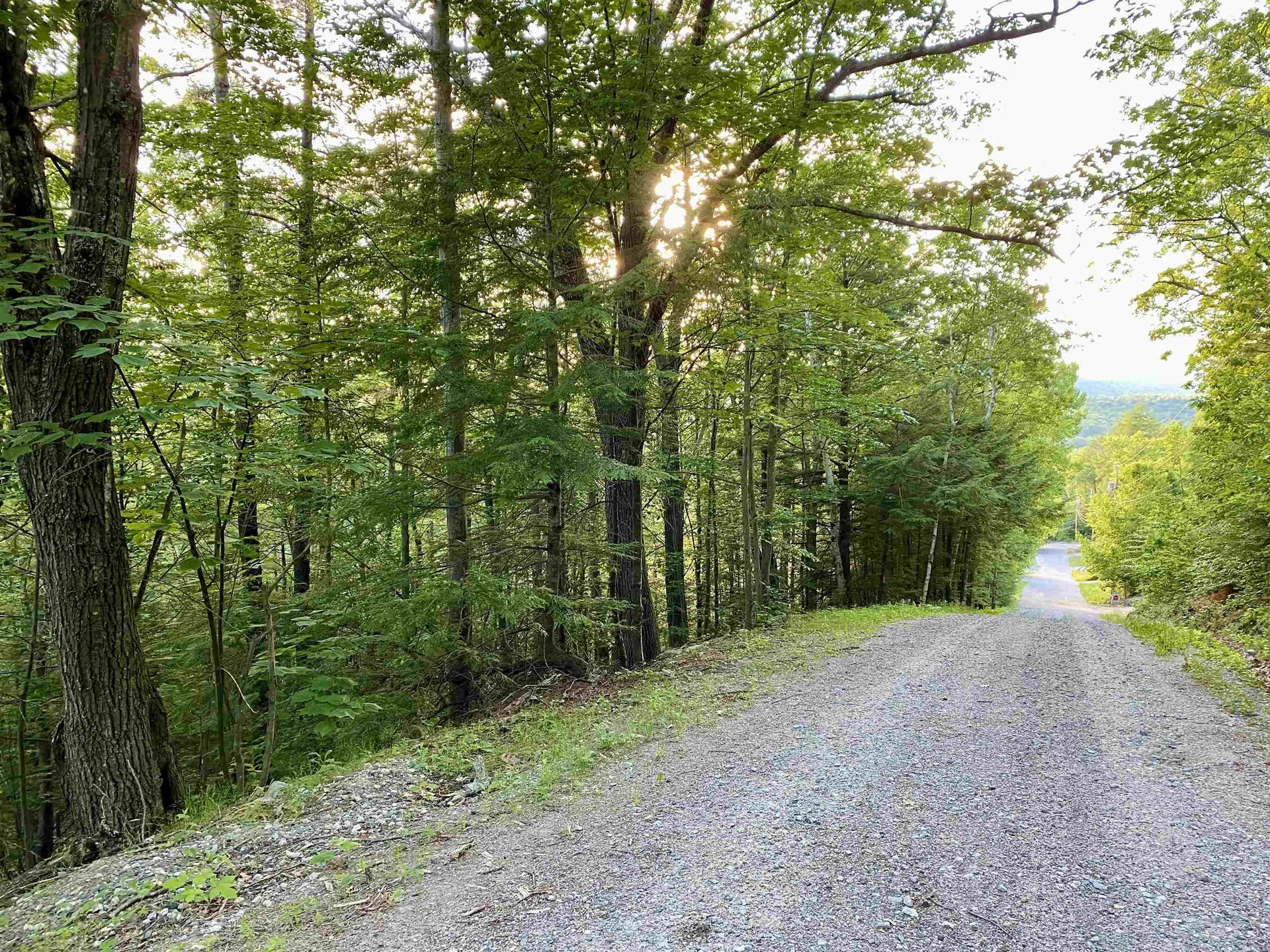 20 Nutter Drive Alton NH 03809