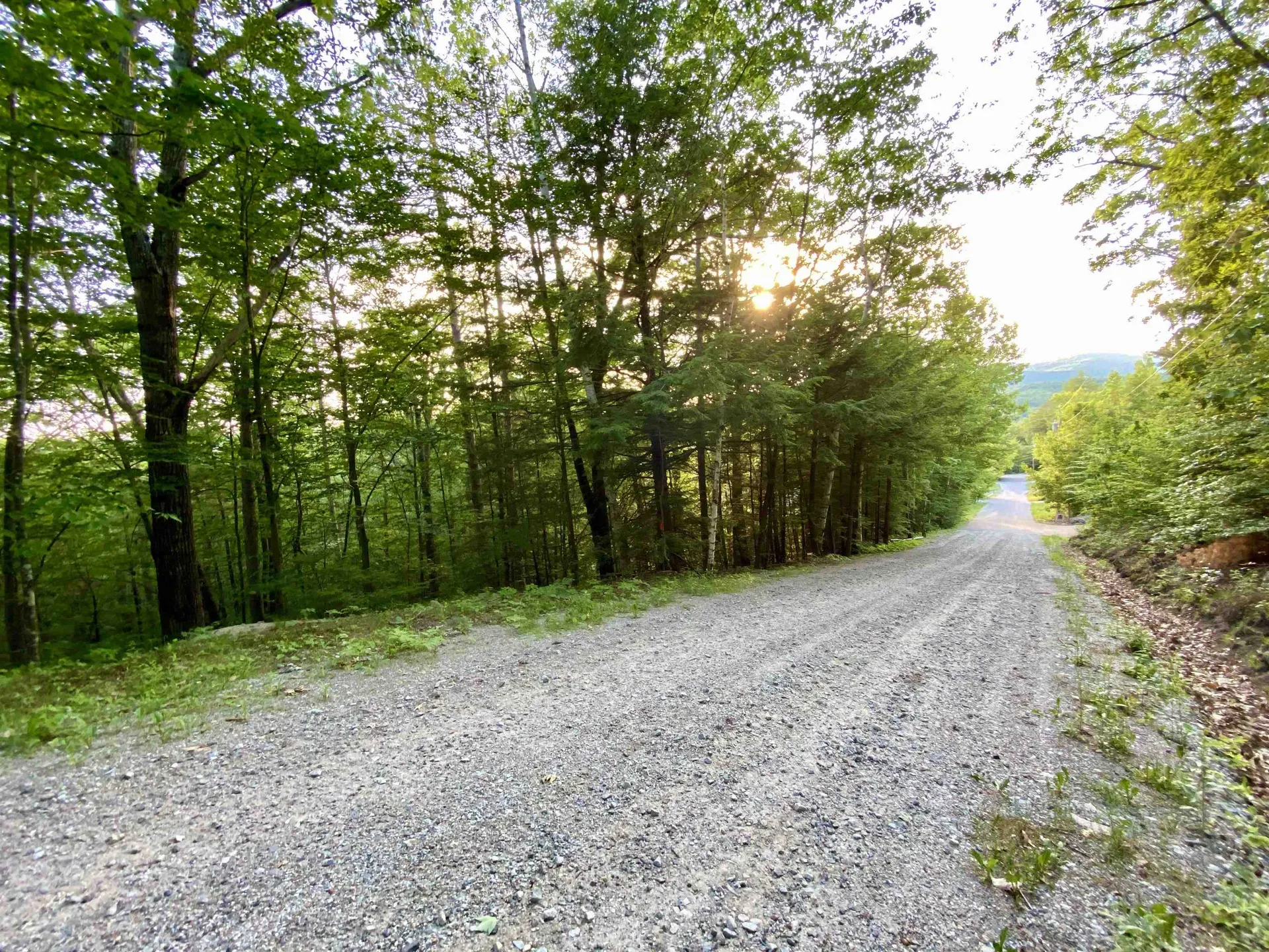 20 Nutter Drive Alton NH 03809