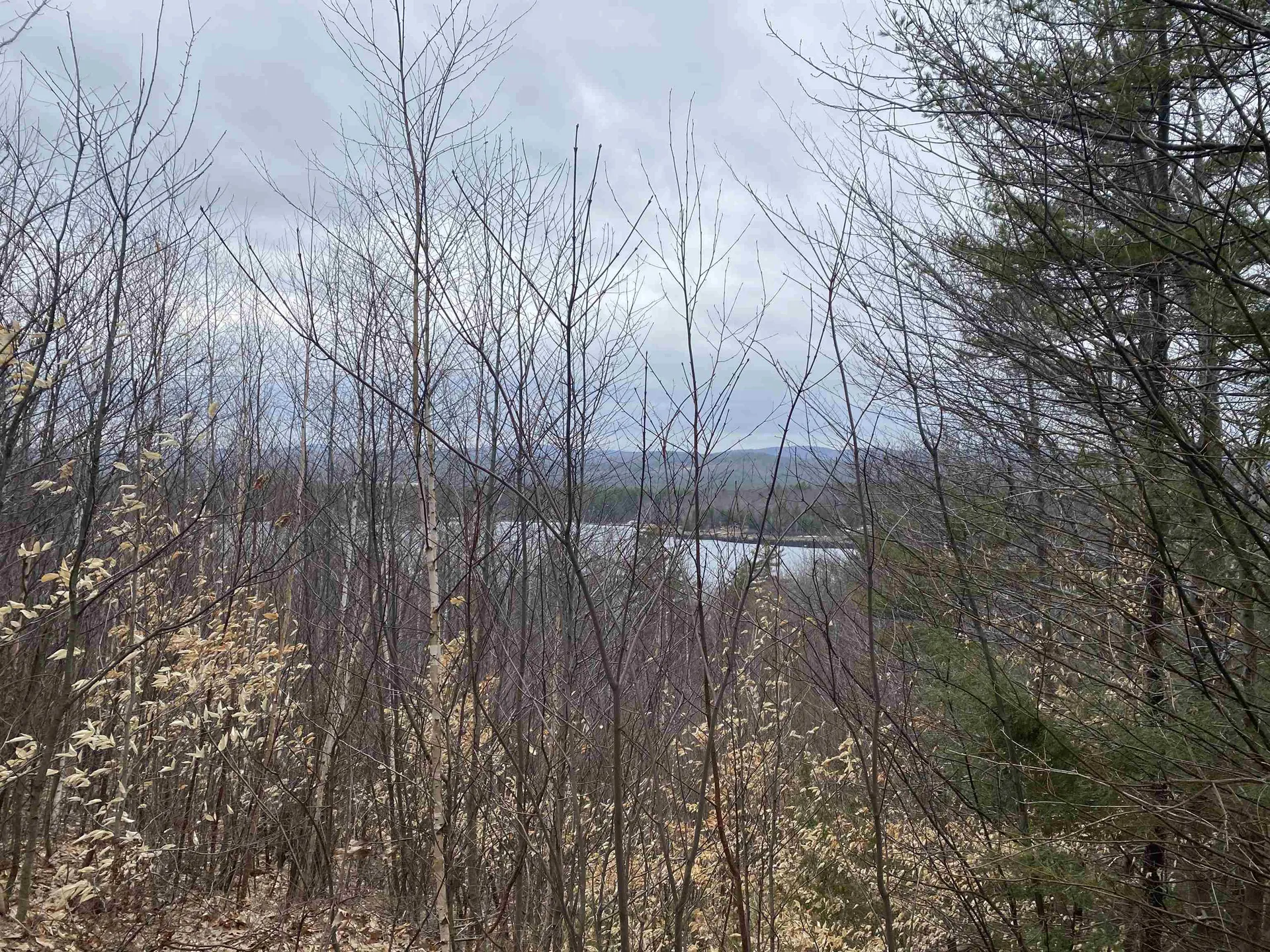 20 Nutter Drive Alton NH 03809