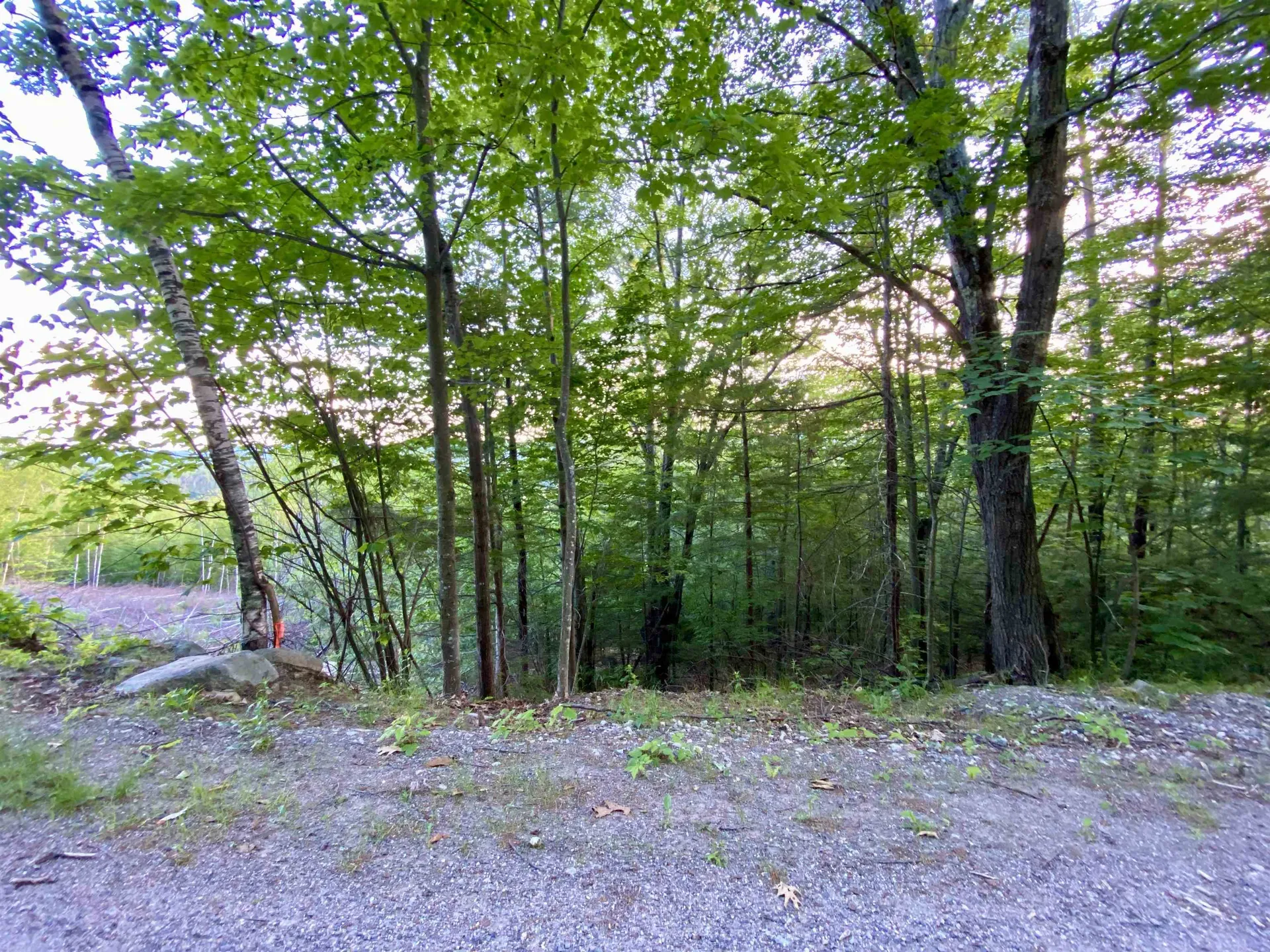 20 Nutter Drive Alton NH 03809