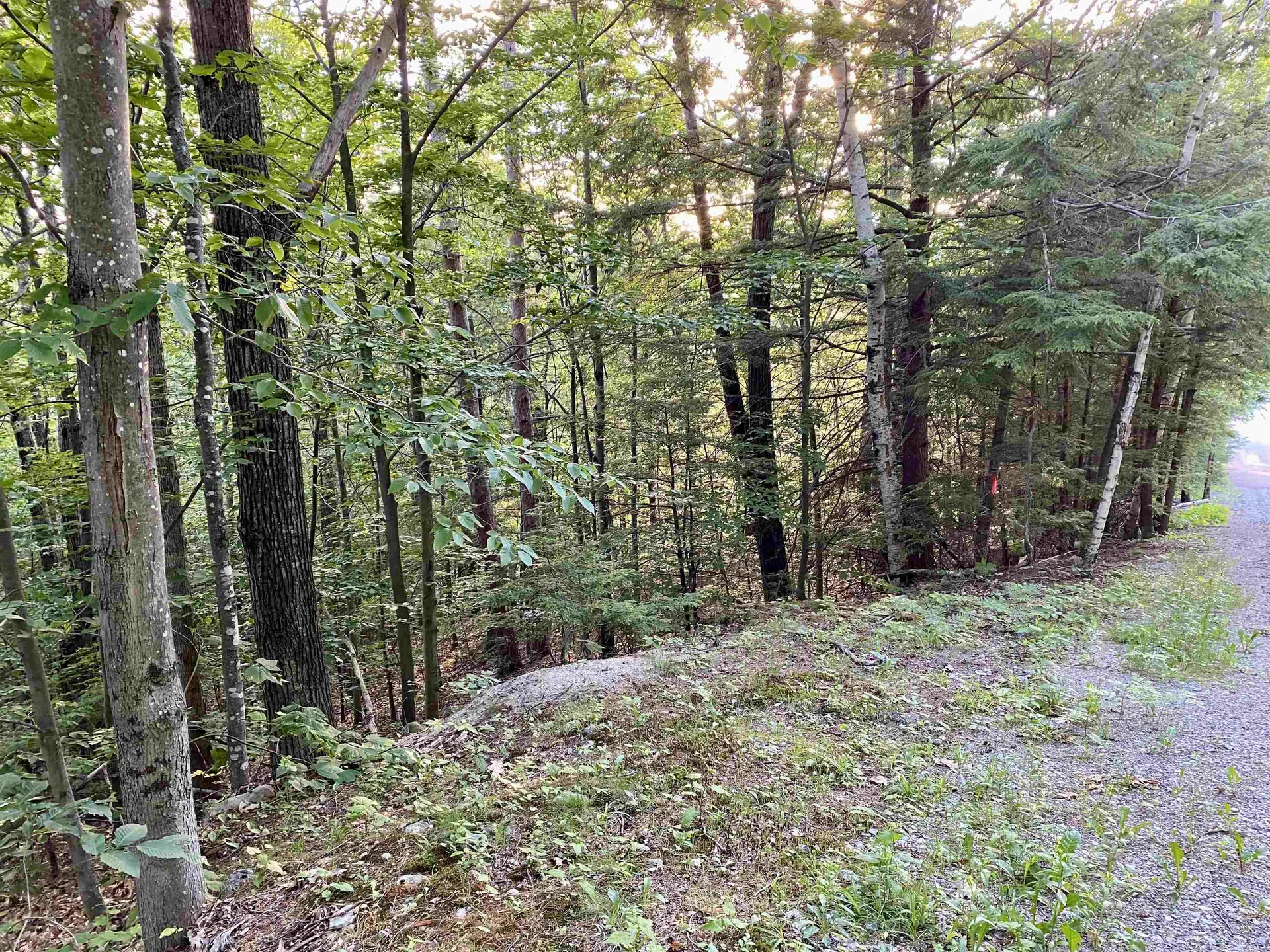 20 Nutter Drive Alton NH 03809