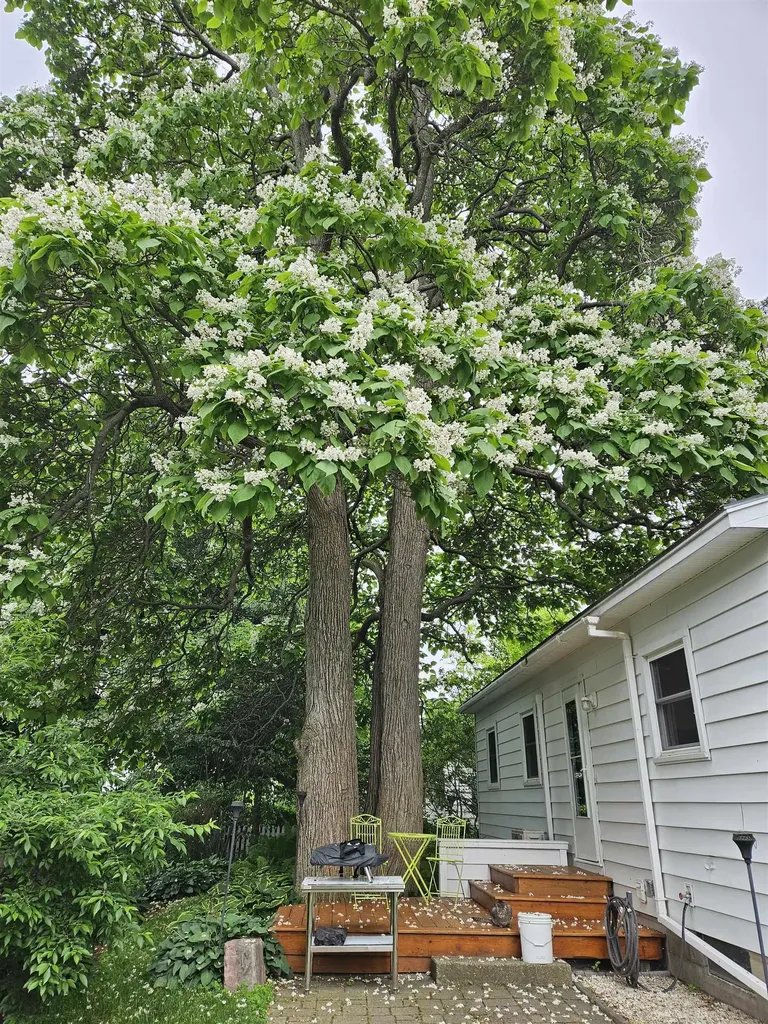 213 Pleasant Avenue Burlington VT 05408