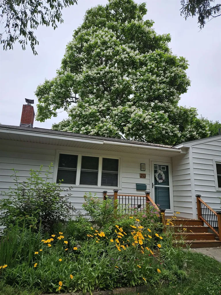 213 Pleasant Avenue Burlington VT 05408