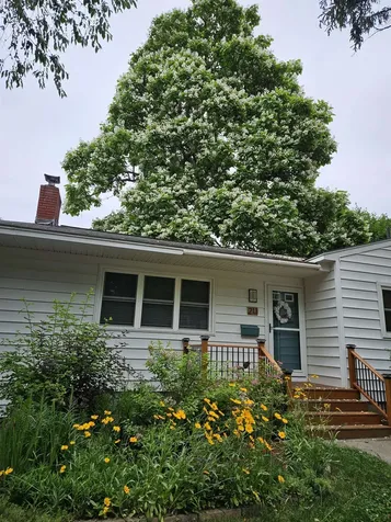 213 Pleasant Avenue Burlington VT 05408