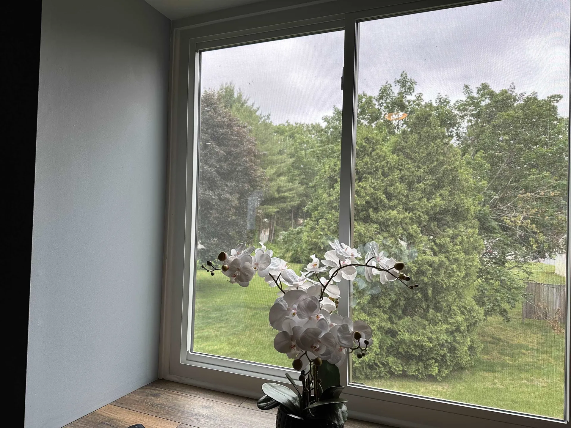 11 Pimlico Court Bedford NH 03110