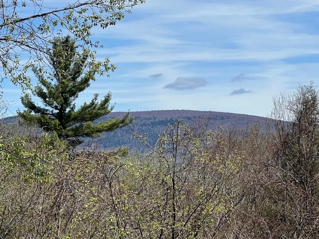 0 Lois Lane Arlington VT 05250