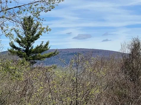 0 Lois Lane Arlington VT 05250