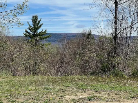 0 Lois Lane Arlington VT 05250