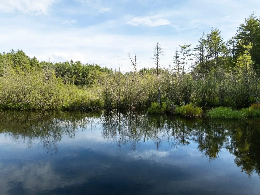 0 Newton Lane Norwich VT 05055