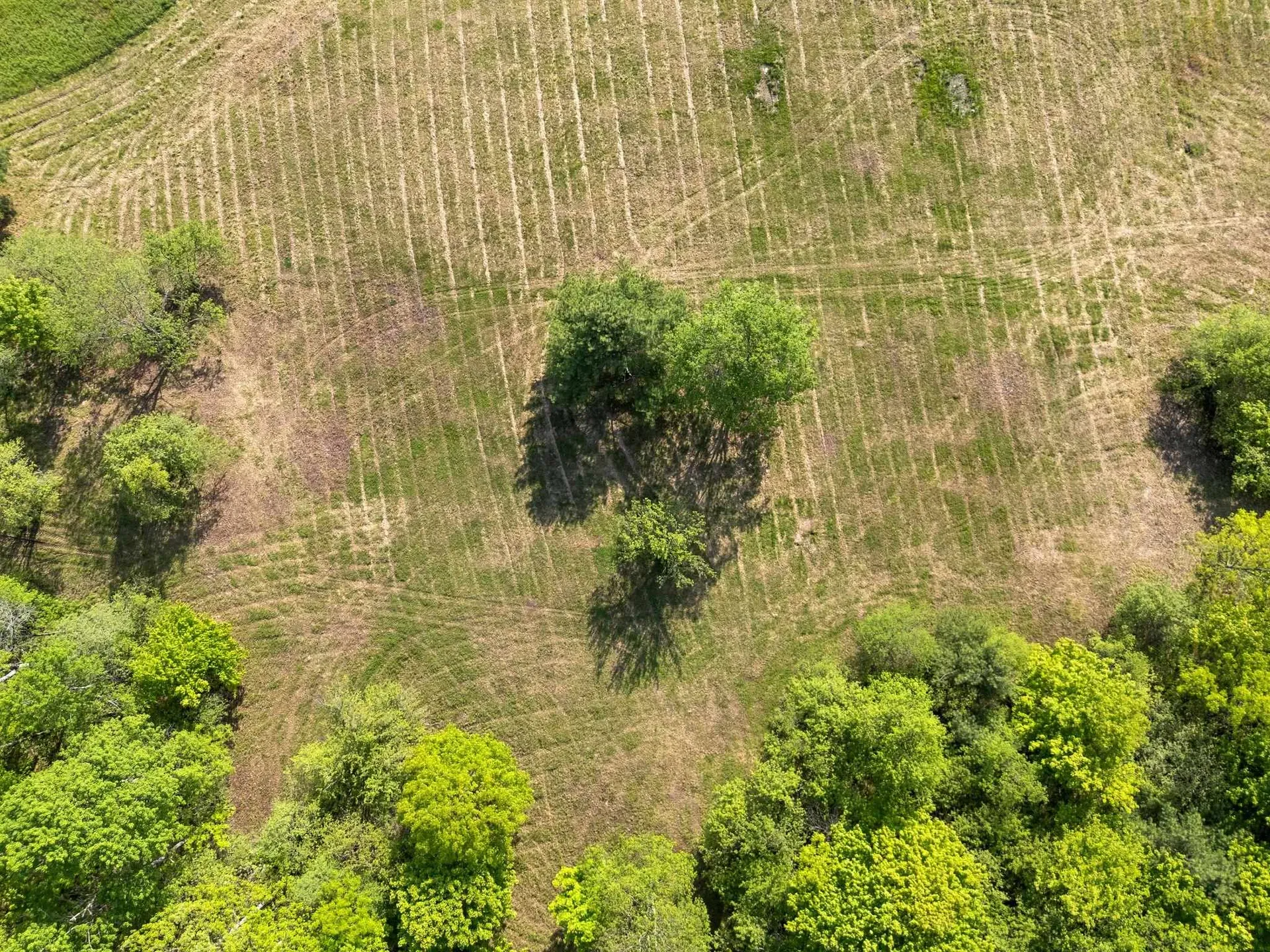 0 Newton Lane Norwich VT 05055