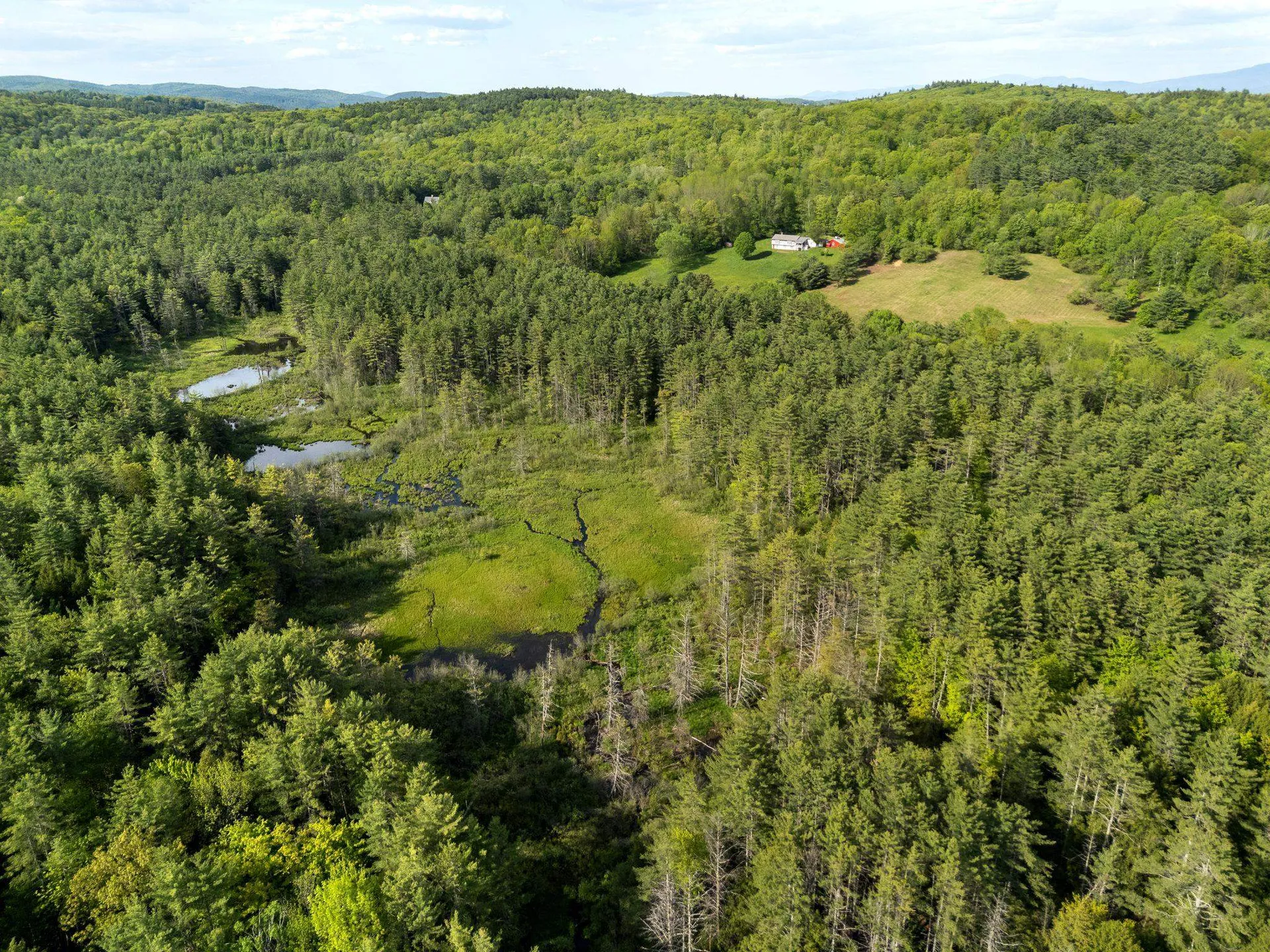 0 Newton Lane Norwich VT 05055