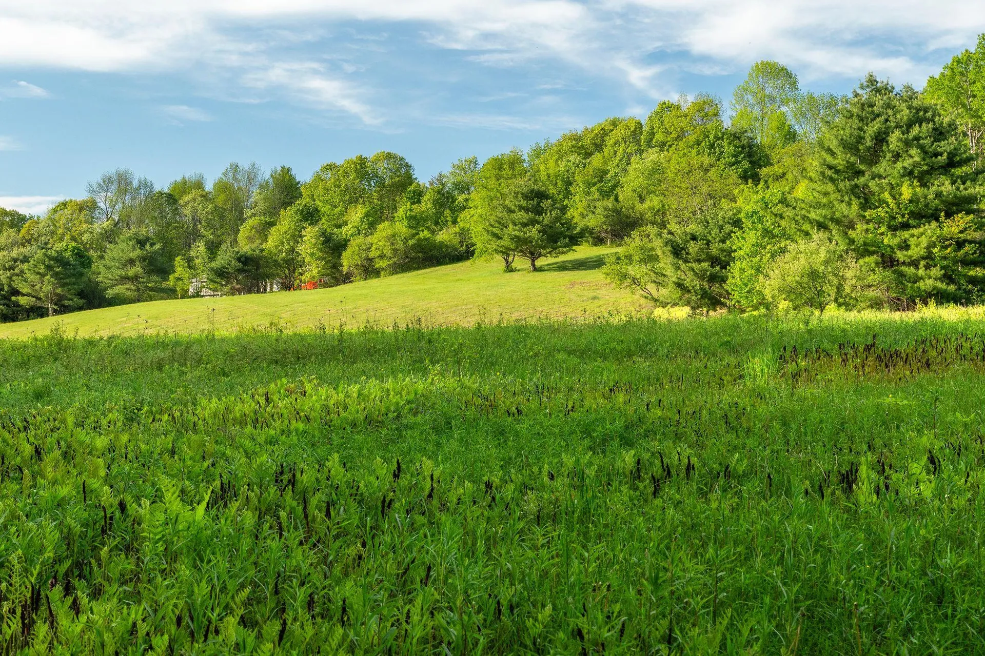 0 Newton Lane Norwich VT 05055