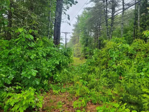 611 Franklin Highway Andover NH 03231