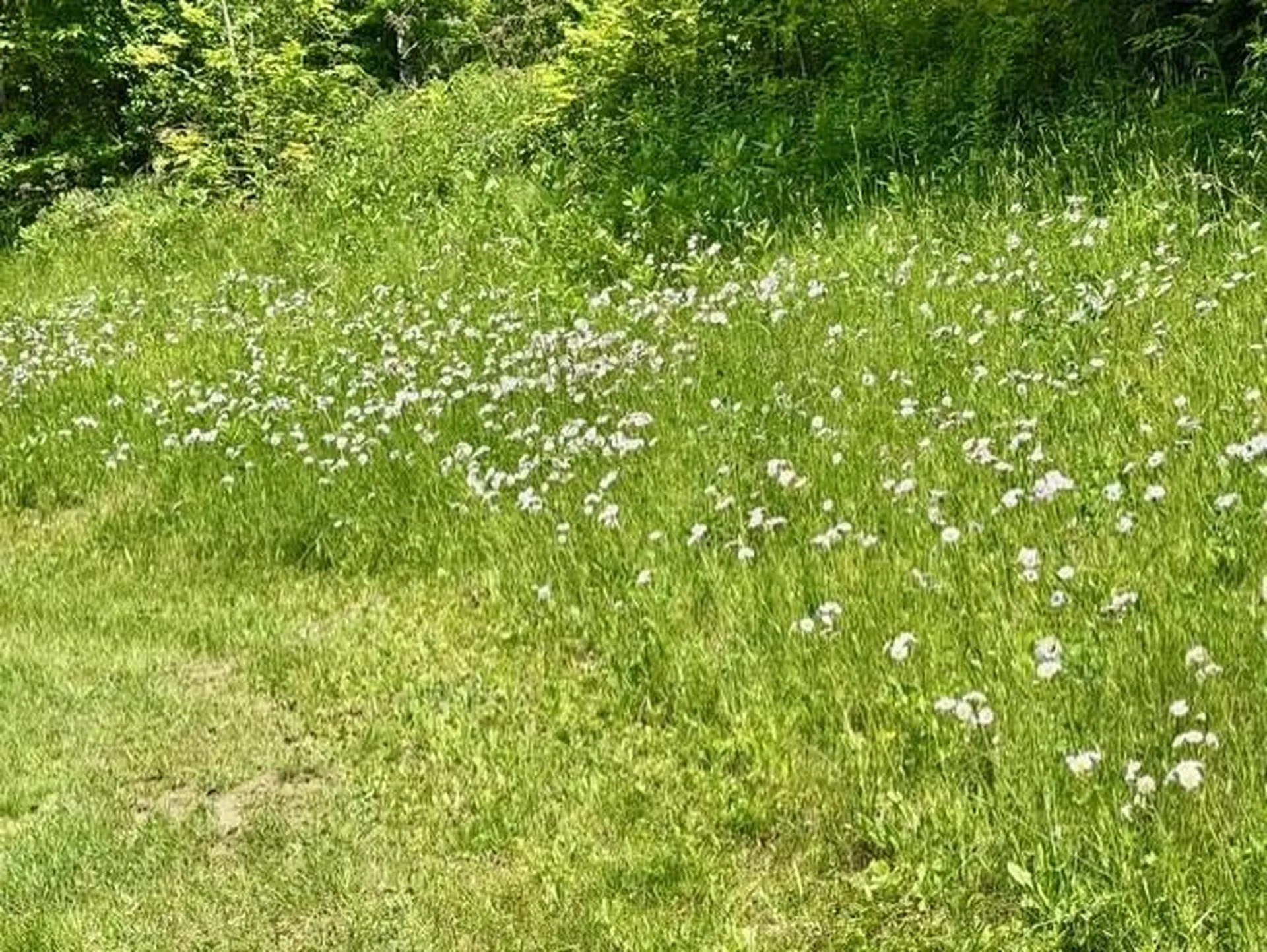 51 Pleasant Street Marlborough NH 03455