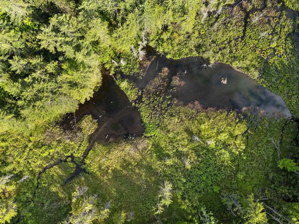 0 Newton Lane Hartford VT 05001