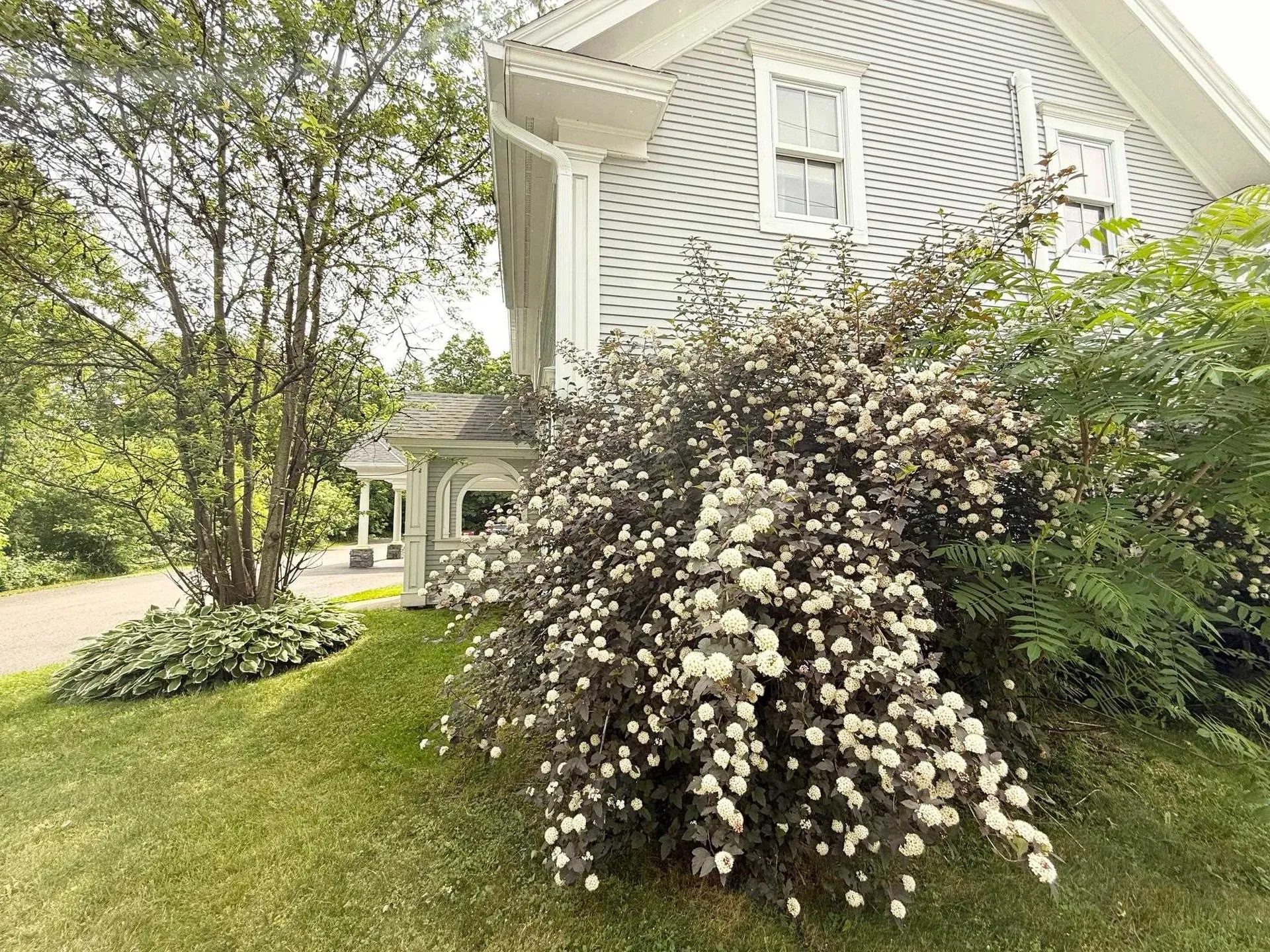 83 Maple Street Morristown VT 05661