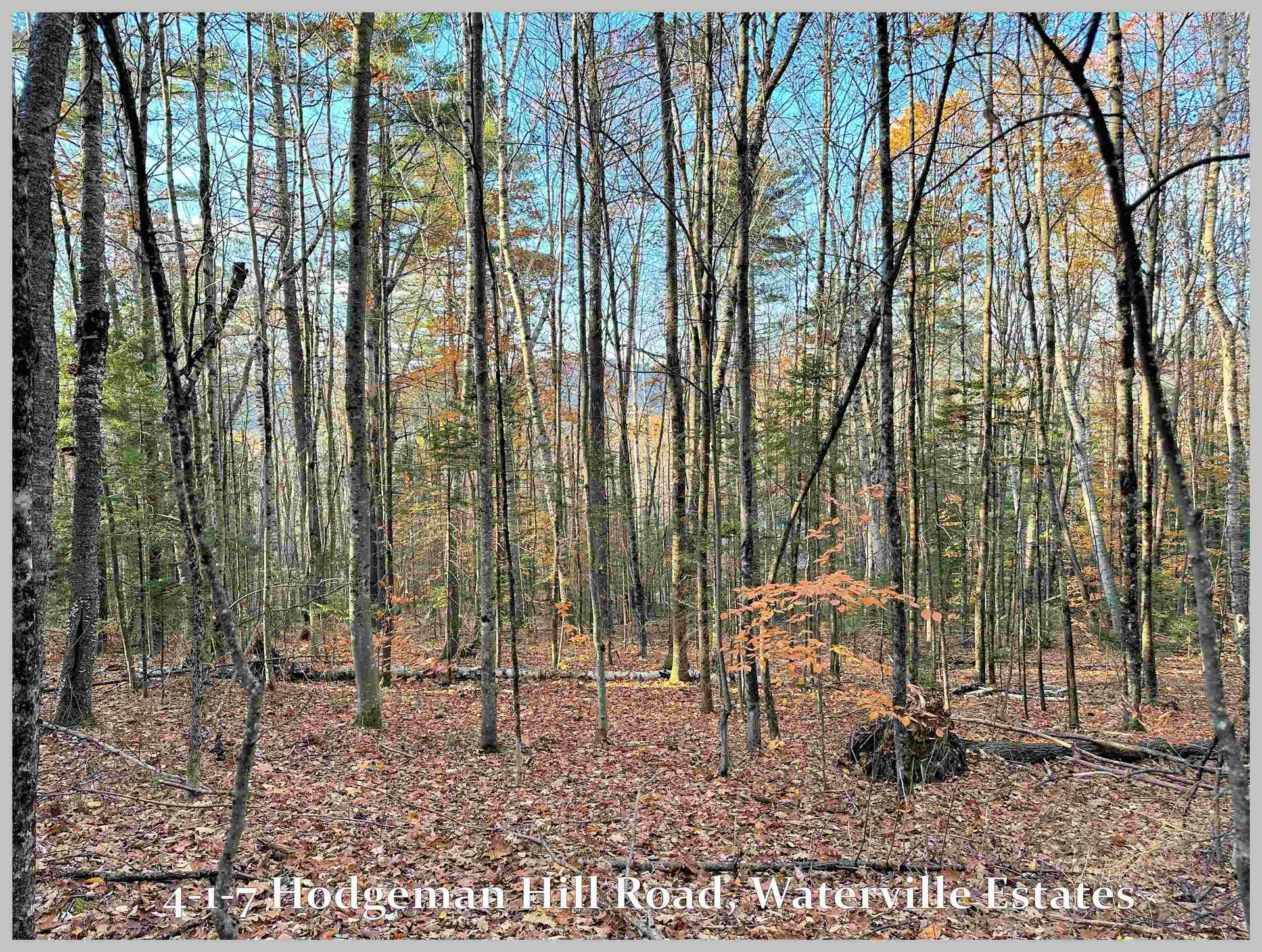 4-1-7 Hodgeman Hill Road Campton NH 03223