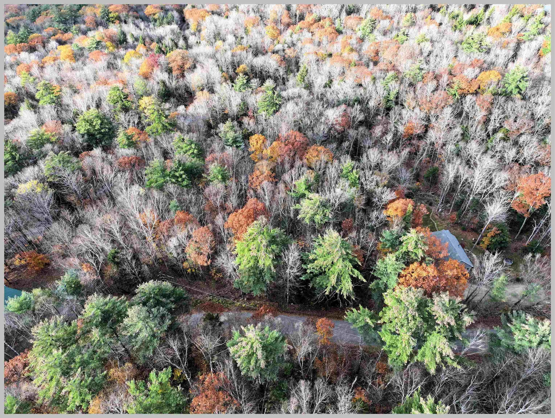 4-1-7 Hodgeman Hill Road Campton NH 03223