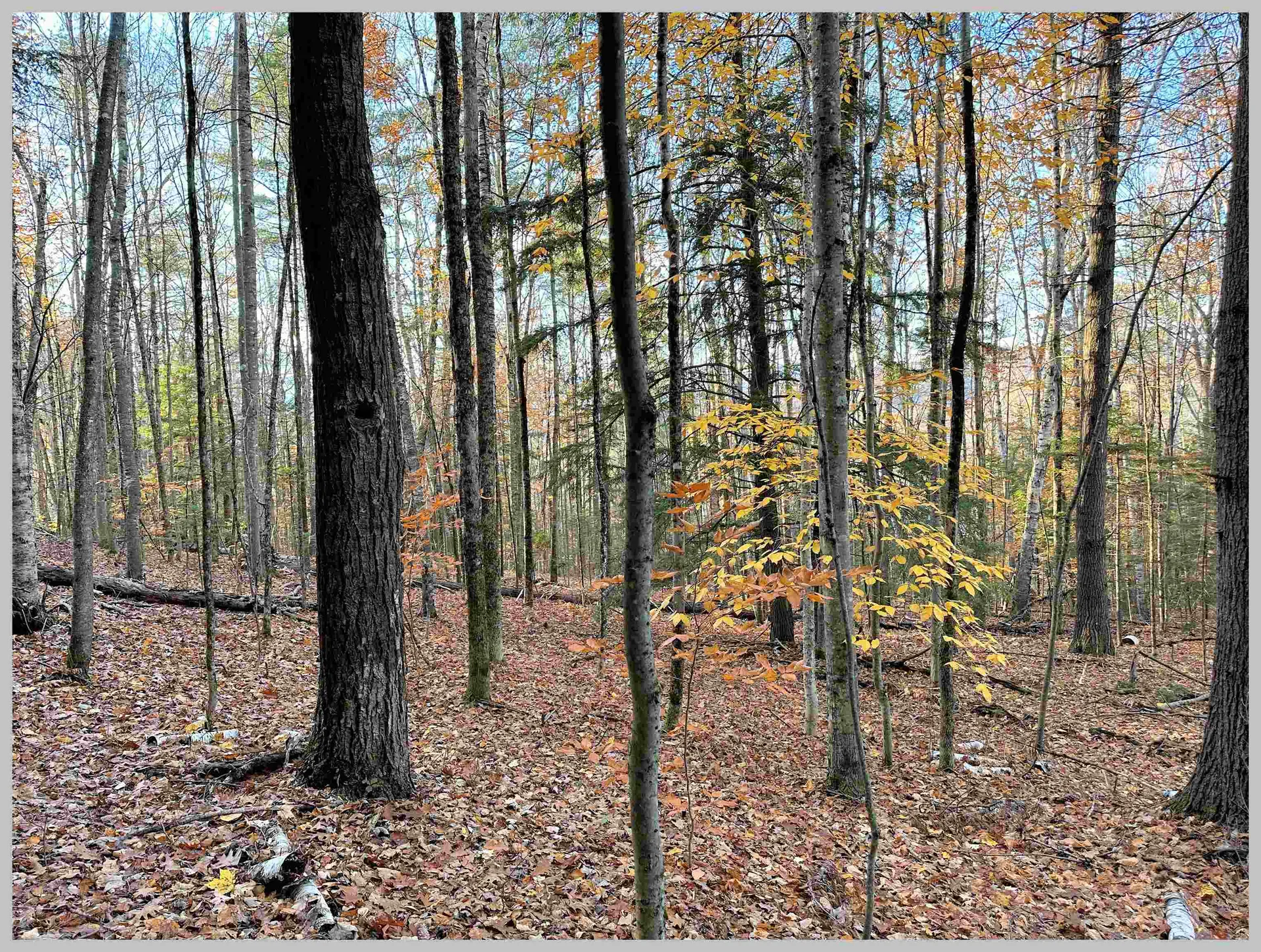 4-1-7 Hodgeman Hill Road Campton NH 03223