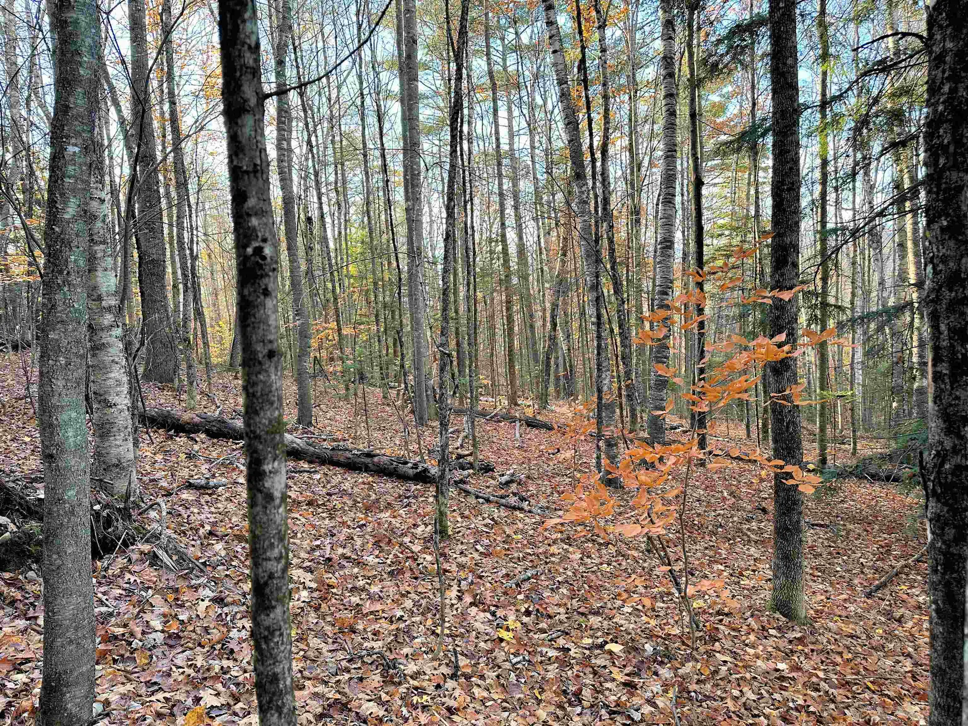 4-1-7 Hodgeman Hill Road Campton NH 03223