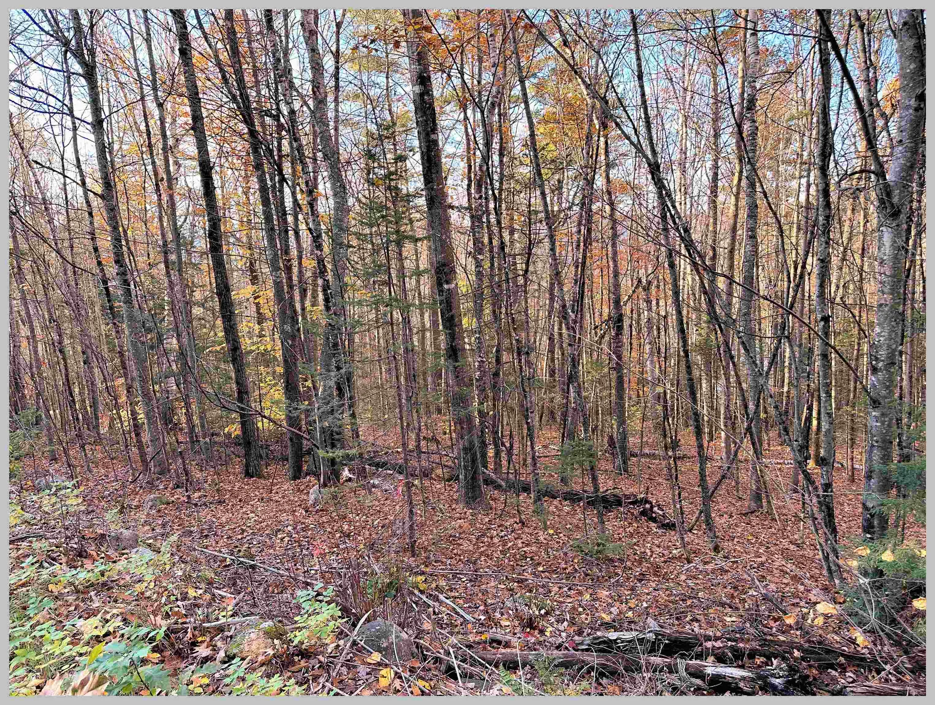 4-1-7 Hodgeman Hill Road Campton NH 03223