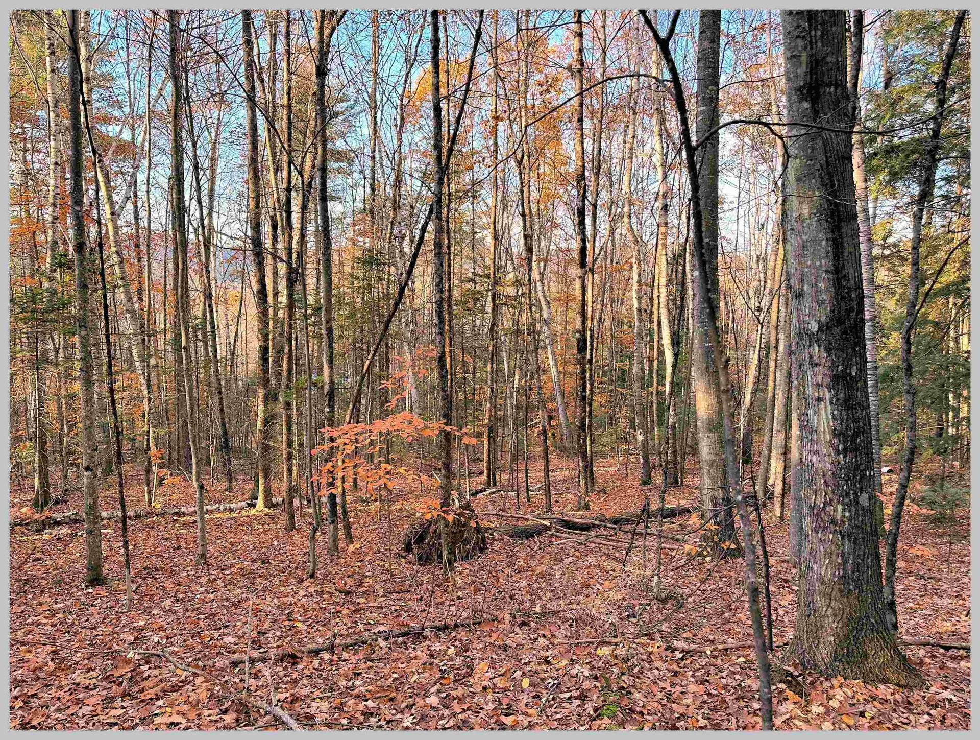 4-1-7 Hodgeman Hill Road Campton NH 03223