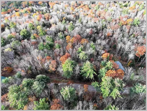 4-1-7 Hodgeman Hill Road Campton NH 03223