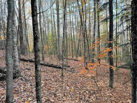 4-1-7 Hodgeman Hill Road Campton NH 03223