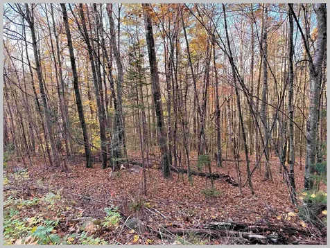 4-1-7 Hodgeman Hill Road Campton NH 03223