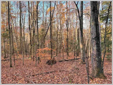 4-1-7 Hodgeman Hill Road Campton NH 03223