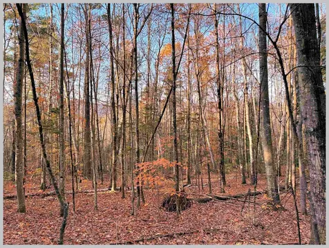 4-1-7 Hodgeman Hill Road Campton NH 03223