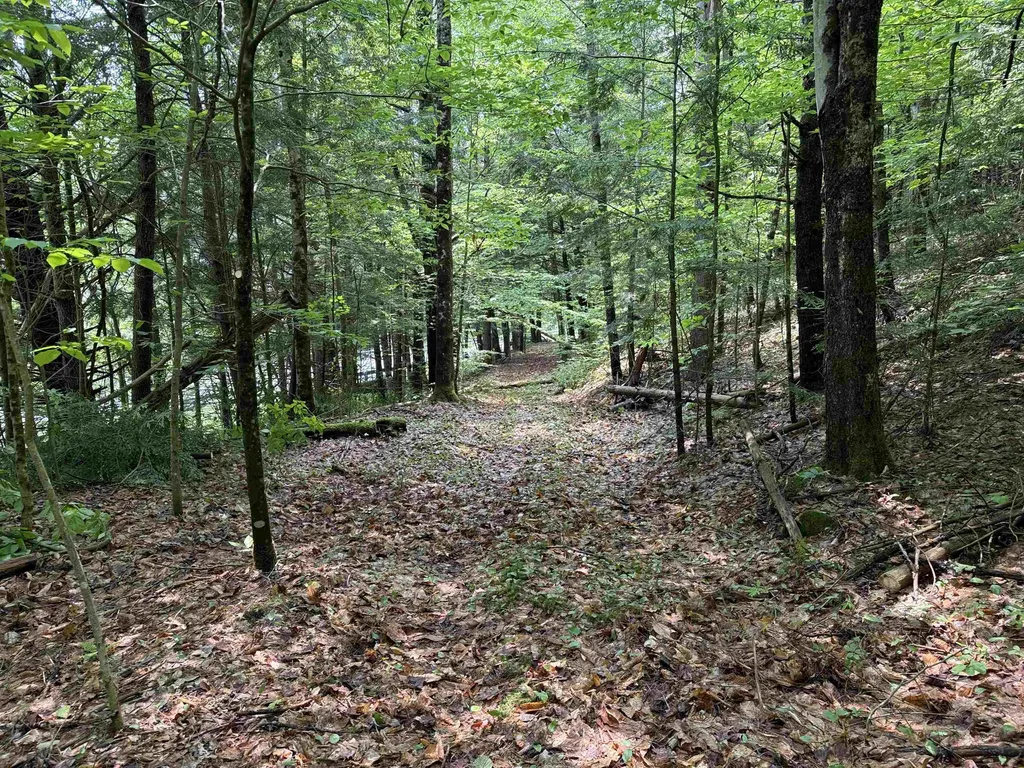 0 Nh Route 120 Cornish NH 03745