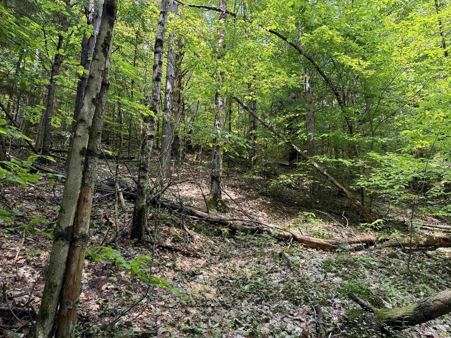 0 New Hampshire Route 120 Cornish NH 03745