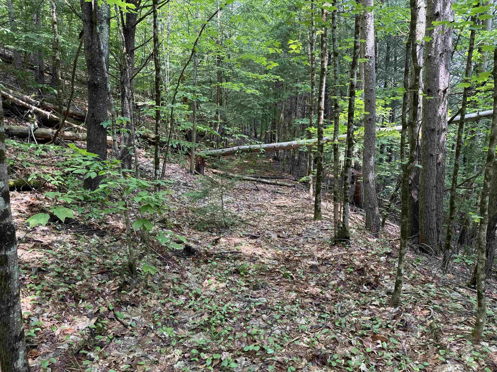 0 New Hampshire Route 120 Cornish NH 03745