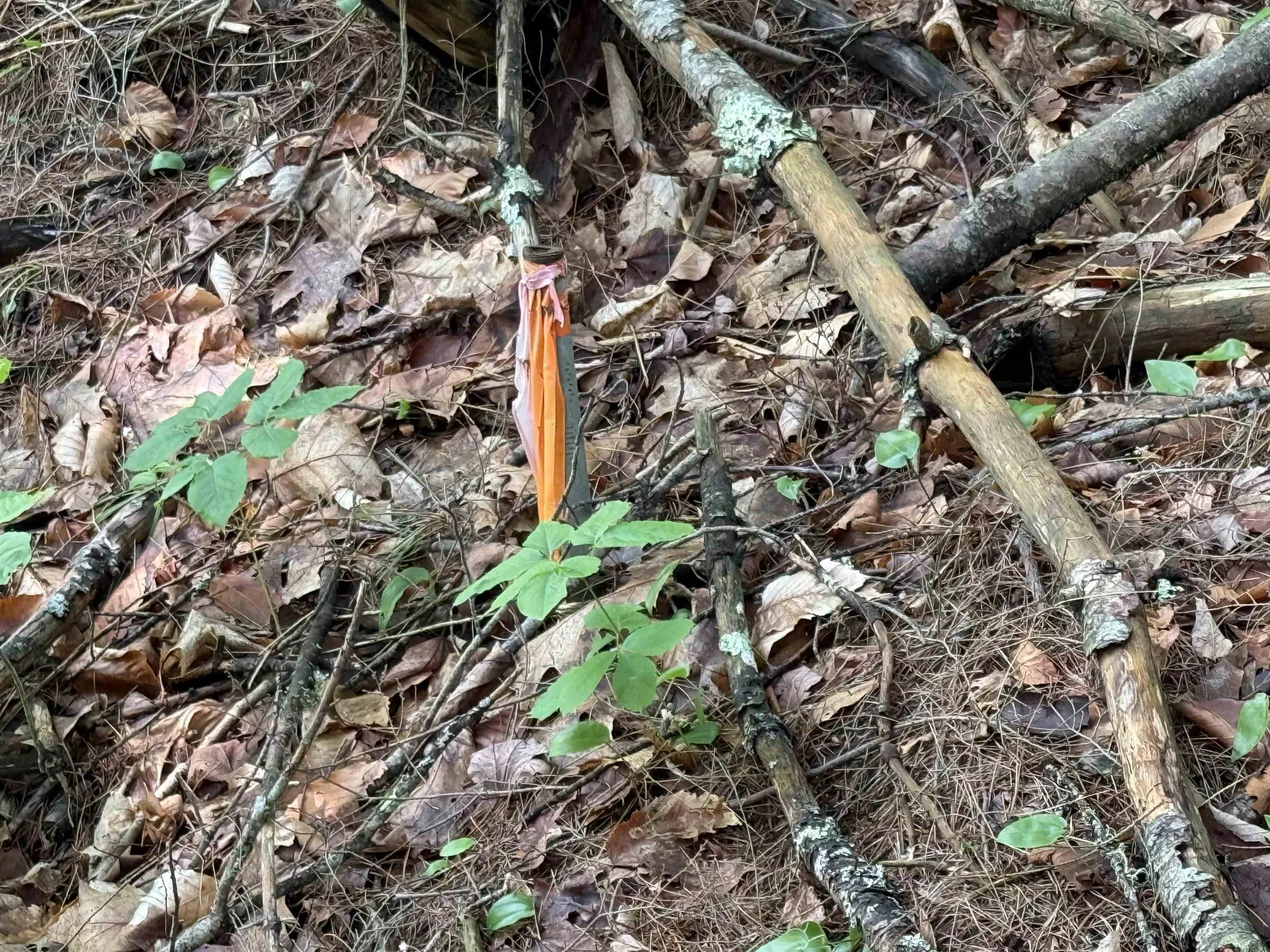 0 New Hampshire Route 120 Cornish NH 03745