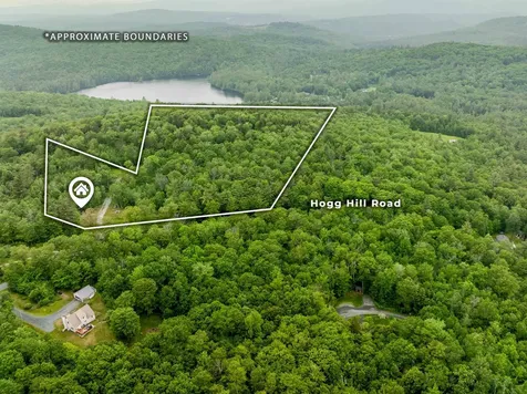 140 Hogg Hill Springfield NH 03284