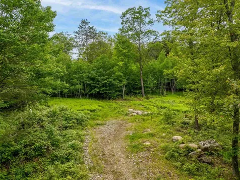 140 Hogg Hill Springfield NH 03284