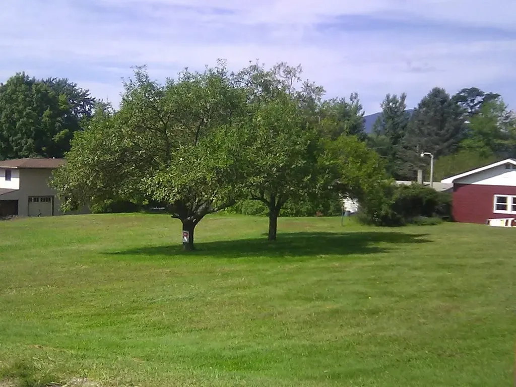 145 Langdell Road Morristown VT 05661