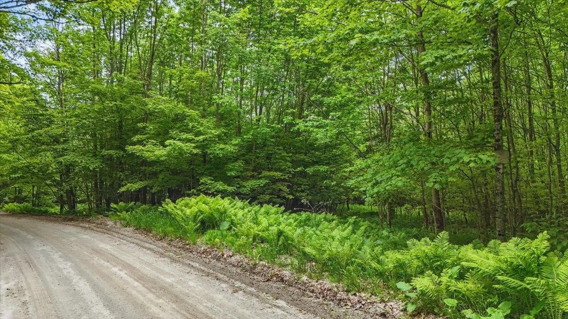 Tbd Lot 2 Woodcock Road Plainfield VT 05667