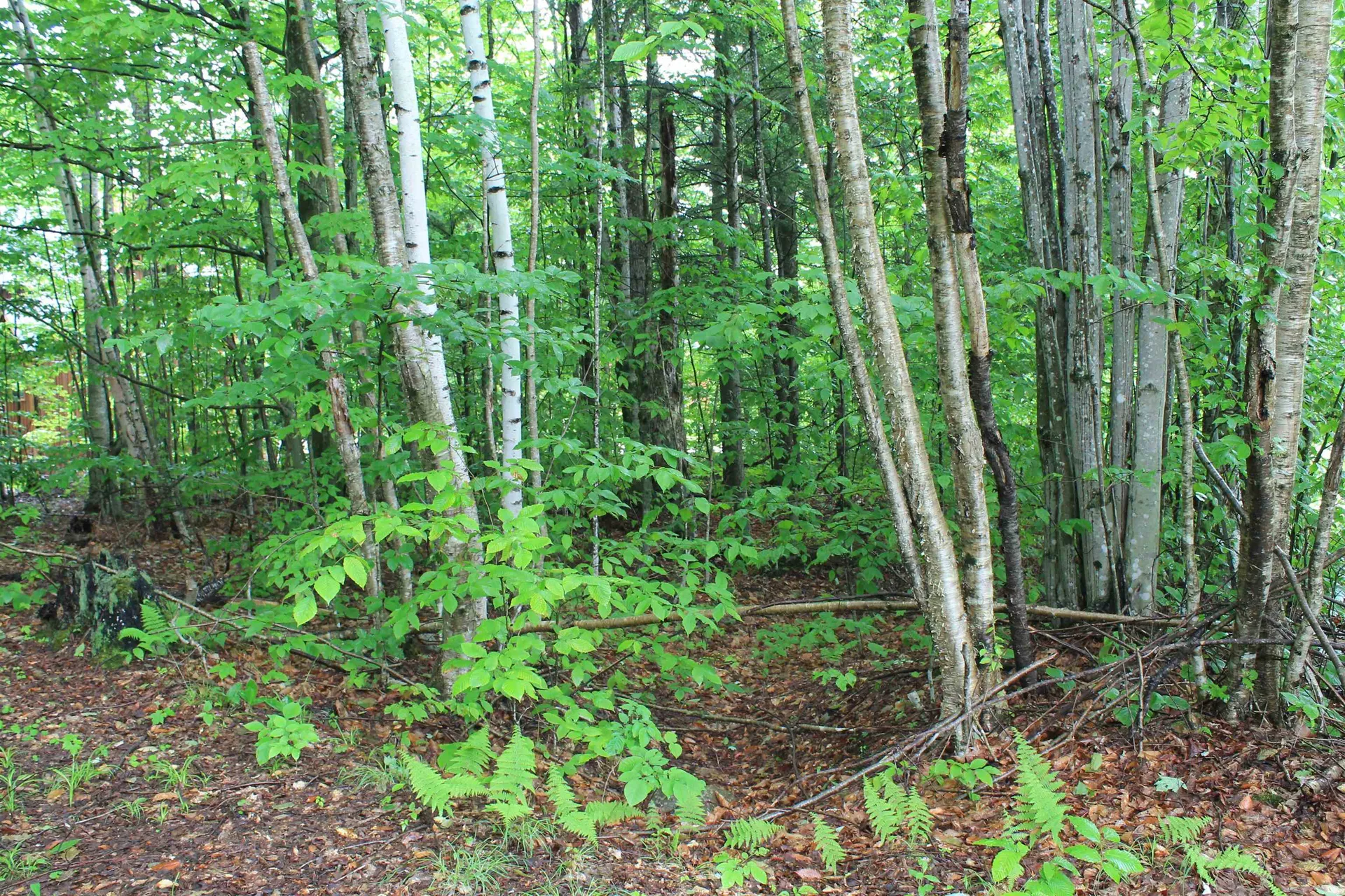 130 Friendship Court Lincoln NH 03251