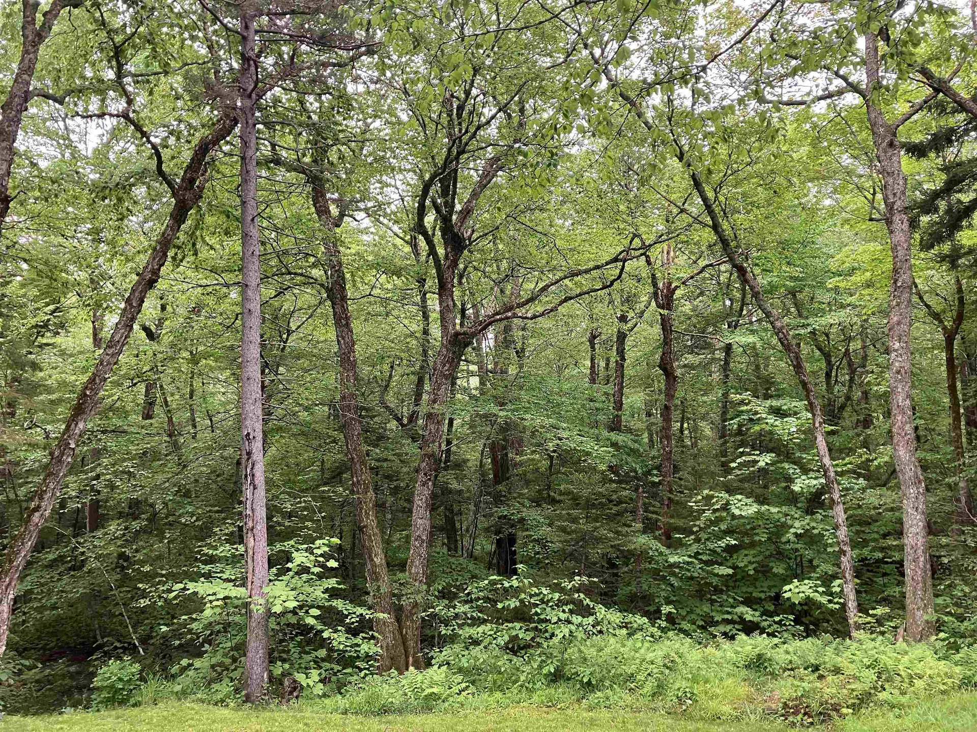 108 Spruce Grove Road Wilmington VT 05363