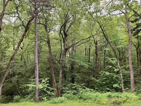 108 Spruce Grove Road Wilmington VT 05363