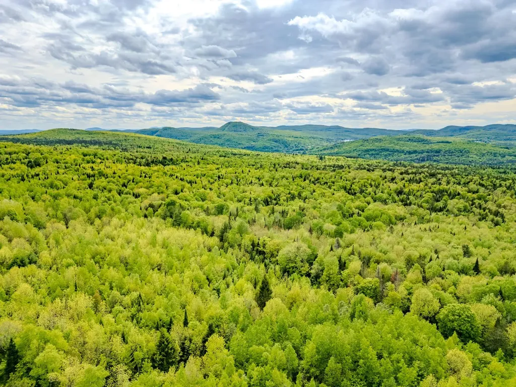 00 Vt Route 122 Sheffield VT 05866